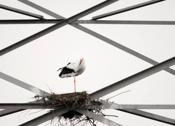 Photograph Gert Van Den Bosch Constructing on One Eyeland